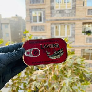 تن ماهی ساردین